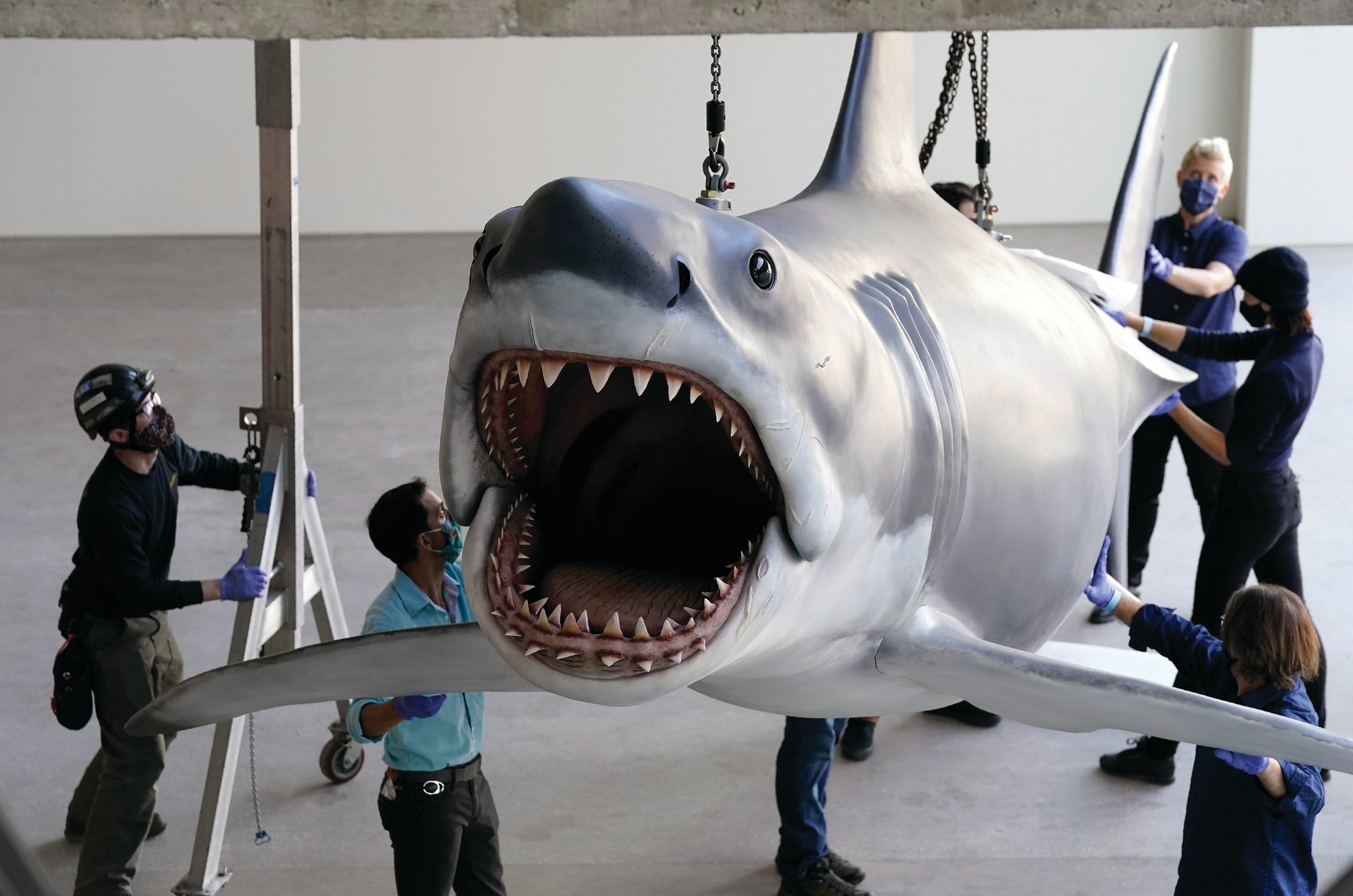 Bruce, the last 'Jaws' shark, docks at Academy Museum ...
